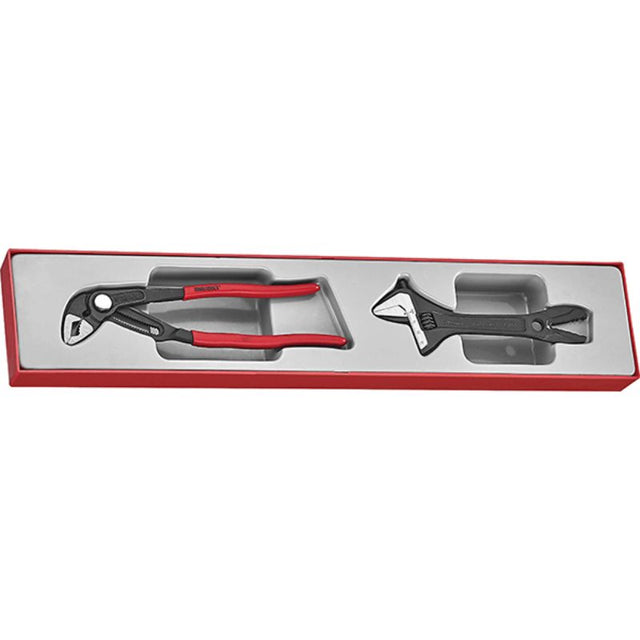 Teng 2pc Plier/Adjustable Wrench Set featuring MB482-10Q Pliers and 4003J Wrench, organized in a TTX-Tray. Ideal for DIY and professionals.