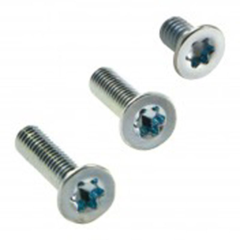 Champion M4 x 16mm Machine Screws, 25-pack with countersunk design and Torx head for strong, secure fastening in projects.