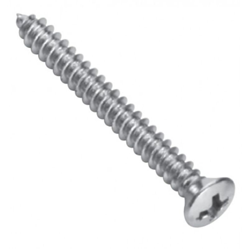 Champion 4G x 3/4in stainless steel tapping screws, 30 pack, ideal for durable fastening in outdoor and marine projects.