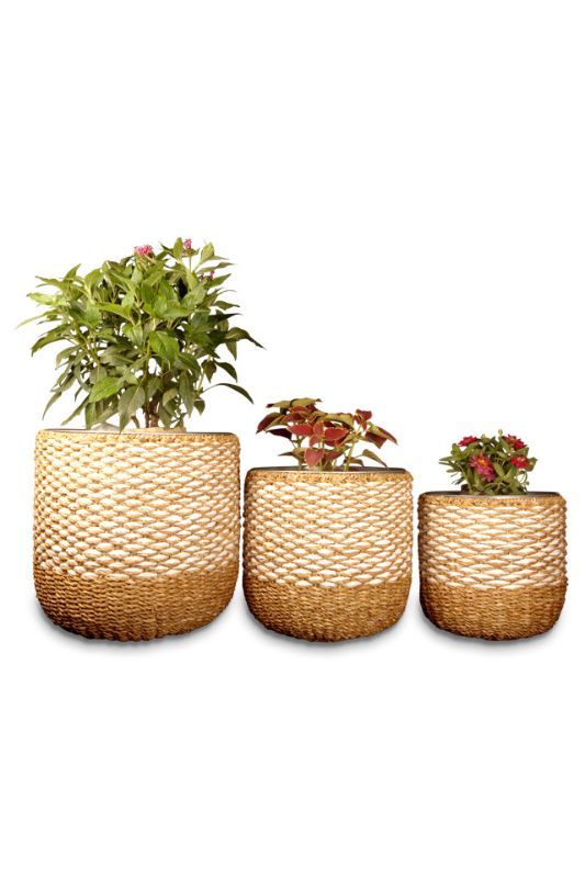 Set of 3 natural seagrass planters with tin liners, perfect for stylishly displaying indoor plants in various sizes.