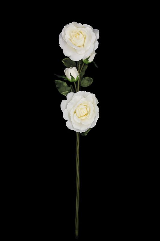 XL Four Head Rose Stem -  White - Set of 2