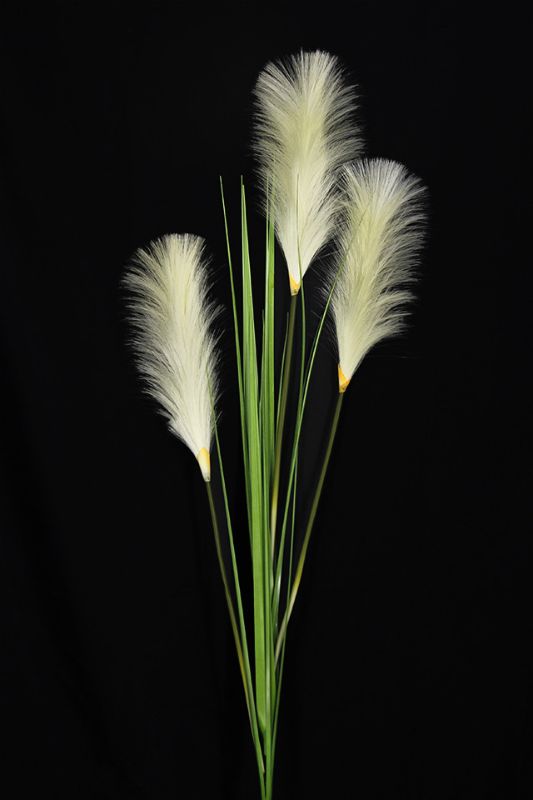 Ivory artificial pampas grass set of 5, 150cm tall, perfect for elegant home decor and versatile arrangements.