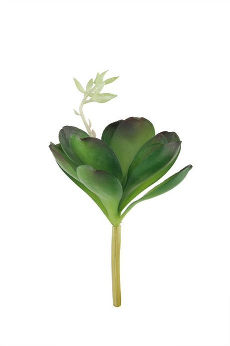 Set of 6 mid-green artificial Desert Rose succulents with 12 petals, perfect for decor and arrangements.