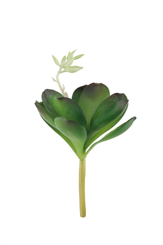 Set of 6 mid-green artificial Desert Rose succulents with 12 petals, perfect for decor and arrangements.