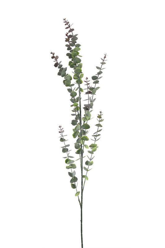 Lifelike artificial eucalyptus spray in sage, set of 6, perfect for floral arrangements and home decor, 120cm tall.