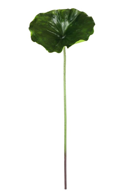 Set of 6 mid green artificial lotus leaves, 75cm high and 27cm wide, ideal for home decor and floral arrangements.