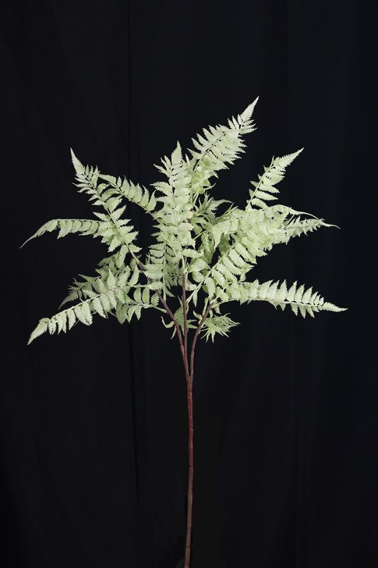 Set of 6 artificial sage green sword fern sprays, 80cm each, with a frosted finish for a lifelike, maintenance-free decor.