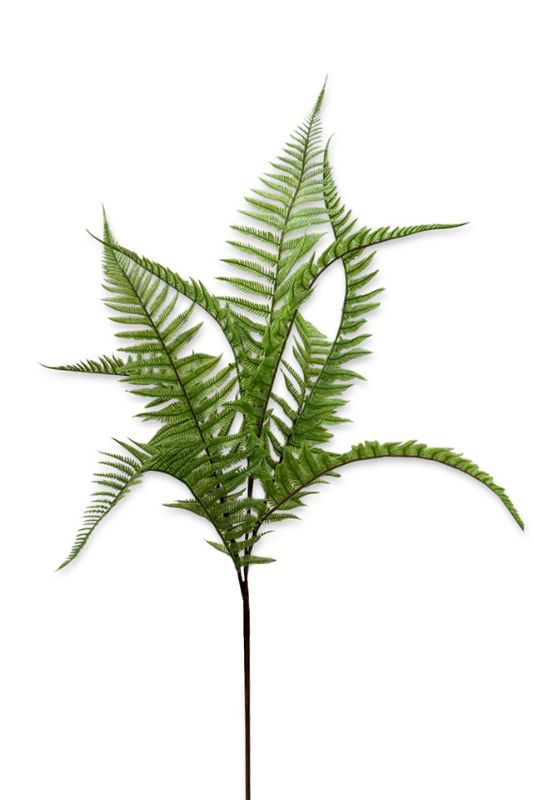 Set of 6 mid-green artificial fern sprays, each 95 cm, perfect for vibrant floral arrangements and home decor.