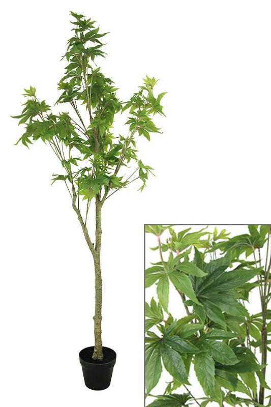 Artificial Large Japanese Maple Tree in Mid Green, 180cm tall, realistic foliage, perfect for indoor and outdoor decor.