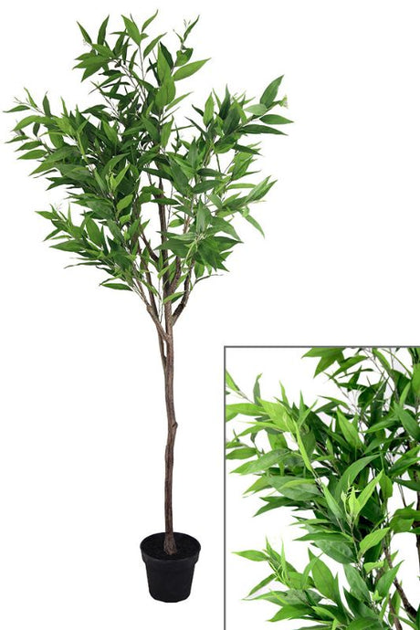 Lifelike 200cm artificial citrus tree with natural wood stem and vibrant green leaves, perfect for any interior style.