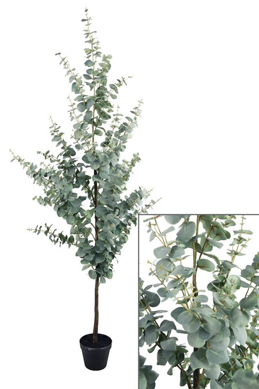 Artificial Large Blue Gum Tree, 180cm tall, featuring realistic leaves and wood stem, perfect for indoor and outdoor decor.