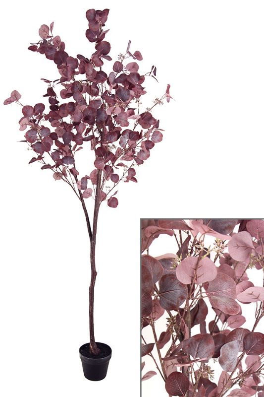Lifelike 185cm tall Artificial Large Dollar Gum Tree with plum-colored leaves and realistic wood stem, perfect for decor.