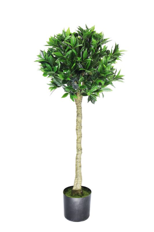 Lifelike 120cm artificial bay tree with 819 lush mid-green leaves, perfect for enhancing indoor decor without maintenance.