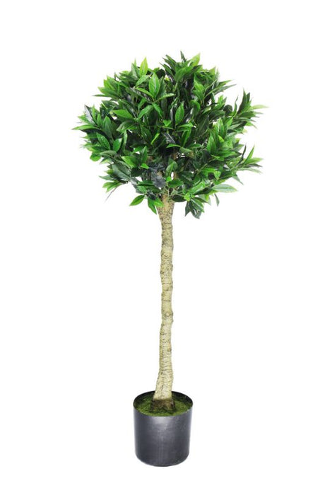 Lifelike 120cm artificial bay tree with 819 lush mid-green leaves, perfect for enhancing indoor decor without maintenance.