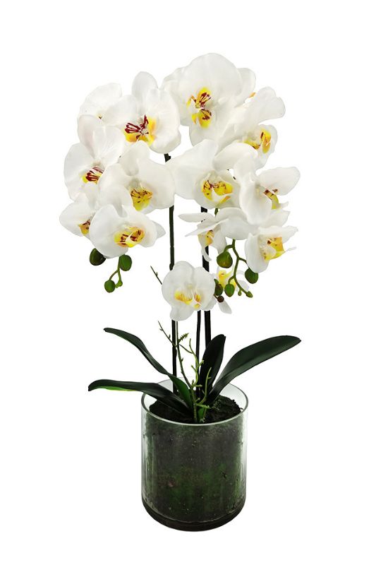 Artificial medium Phalaenopsis orchid in a clear glass vase, featuring three lifelike stems and white petals, perfect for indoor decor.