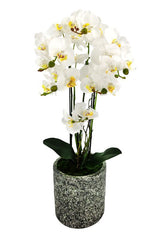 Artificial large white Phalaenopsis Orchid in a cement vase, featuring lifelike petals, stems, and moss for elegant decor.