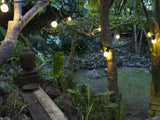 Festoon Party Lights 10M with glass bulbs on black wire, ideal for indoor/outdoor use, creating a warm, cozy atmosphere.