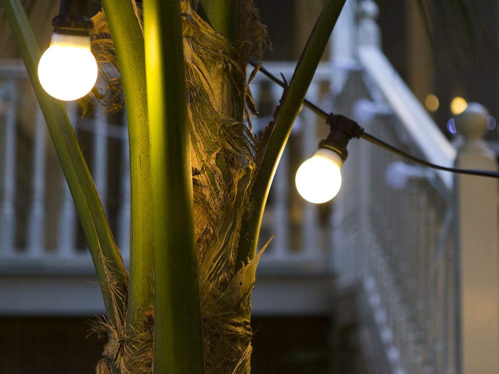 Festoon Party Lights 10M with glass bulbs on black wire, ideal for indoor/outdoor use and creating cozy atmospheres.