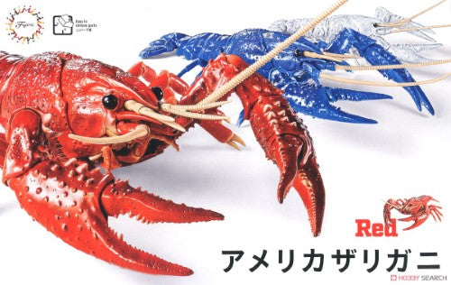 Educational crayfish kitset in red for detailed anatomical study, perfect for biology classes and hands-on learning.