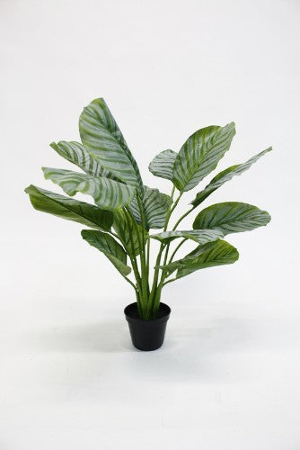 Lifelike 64cm artificial Calathea plant in a pot, ideal for low light, maintenance-free decor enhancement.