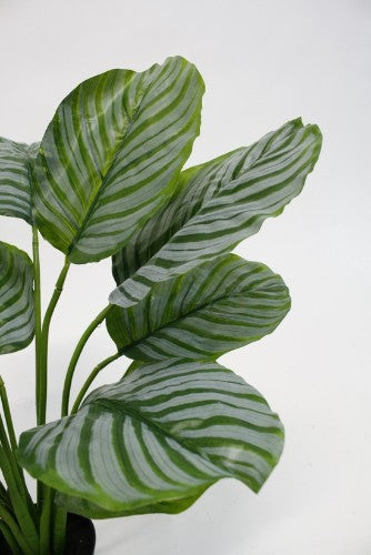 Lifelike 64cm artificial Calathea plant, perfect for low light spaces, enhancing decor without maintenance.