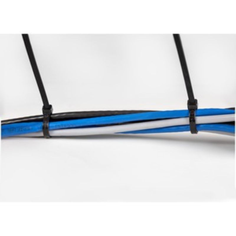 Black 8" cable ties in a 100-pack, made of durable Nylon 66 for strong and flexible cable bundling and organizing.