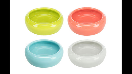 Ceramic 11cm pet feeding bowl with a rounded rim, durable design, 200mL capacity, and available in four vibrant colors.