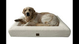 Cream Boucle Orthopedic Dog Bed, large size 100x65cm, featuring cozy bolstered walls and supportive foam for pets' comfort.