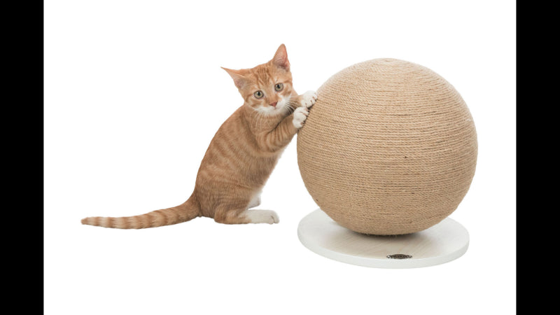 Stylish 29cm cat scratching globe with durable jute, wooden base for healthy claw maintenance and entertainment.