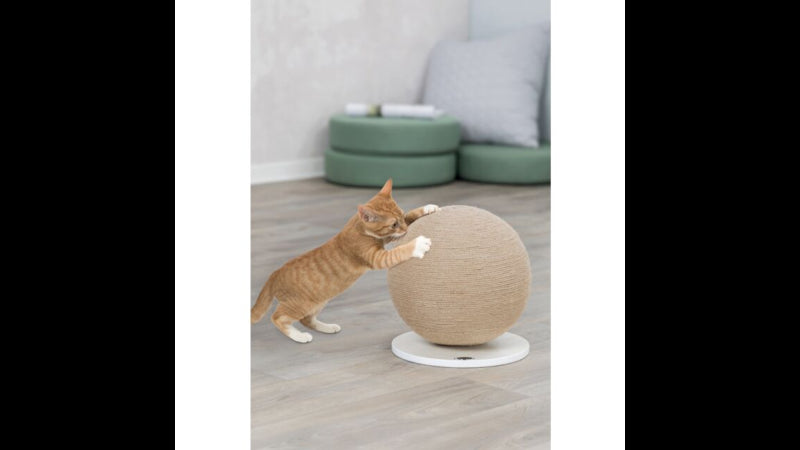 Stylish 29 cm cat scratching globe with jute surface on a sturdy wooden base, promoting healthy scratching and entertainment.