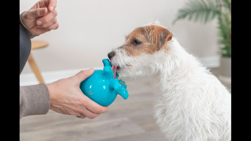 Colorful octopus-shaped dog toy, 11 cm, with snack slots for treats, made of durable thermoplastic rubber for interactive play.