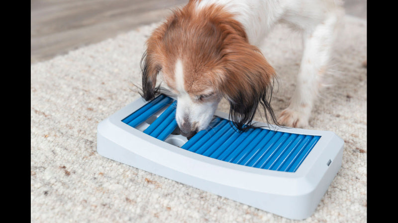 Interactive Dog Activity Rod Board featuring sticks and recesses, designed for mental stimulation and physical play.