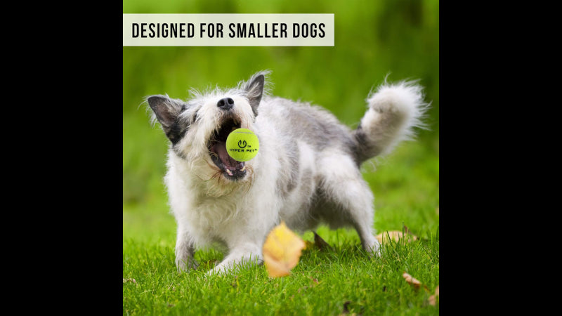 K9K2 Mini Kannon launcher with bright tennis ball, designed for small dogs to enhance fetch games without arm strain.