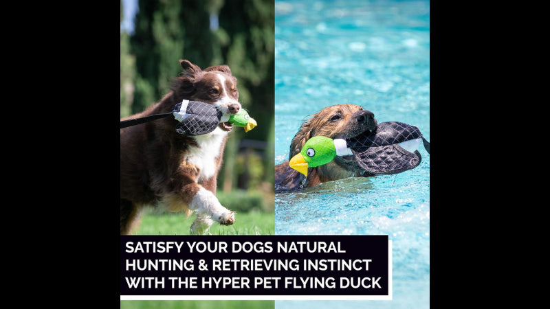 A vibrant green flying duck dog toy designed for interactive fetch, launching up to 40 feet and perfect for water play.