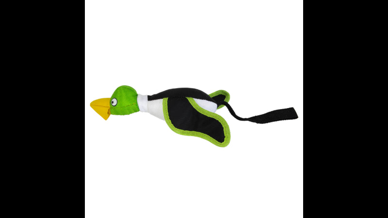 Interactive green flying duck dog toy for fetch; durable, bungee-launch capable, floats on water for versatile fun.