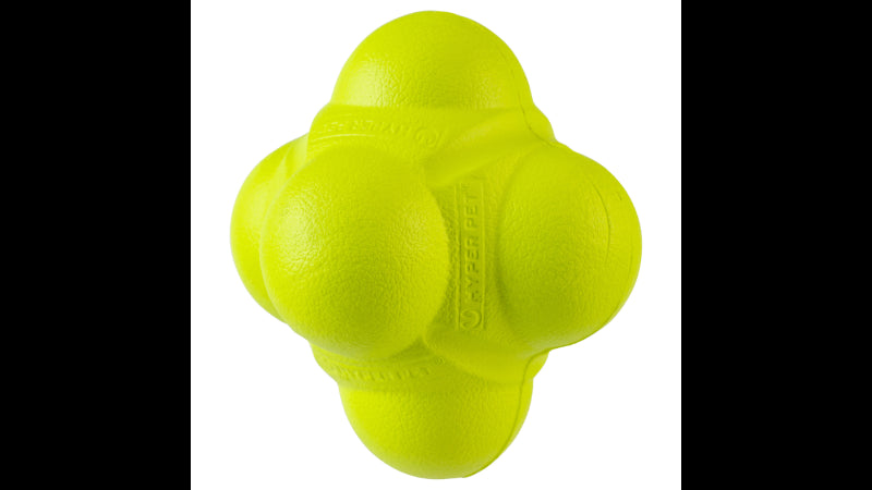 Bright, durable EVA foam dog chew toy featuring a bumpy texture for fun, water-friendly play and dental health benefits.