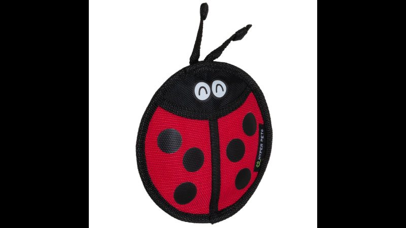 Vibrant ladybug dog toy made from durable fire hose material with squeakers for interactive play and outdoor fun.