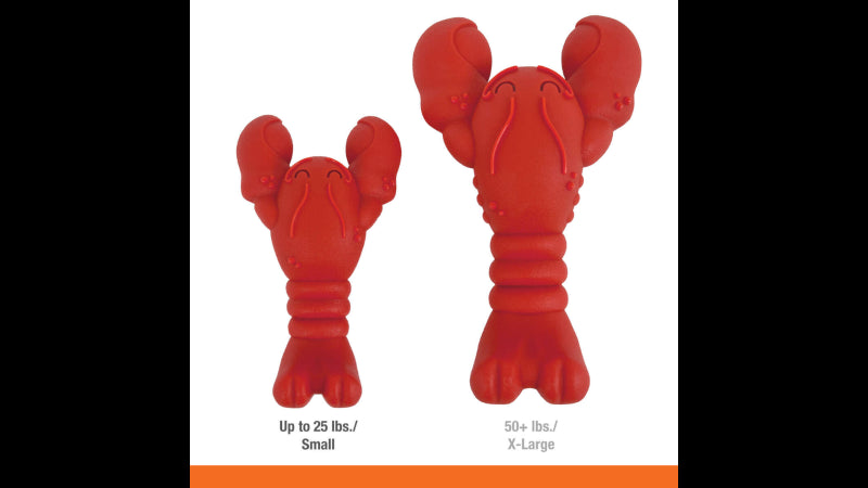 Power Chew Lobster dog toy with filet mignon flavor, three durable ends, and textured design for healthy chewing and dental care.