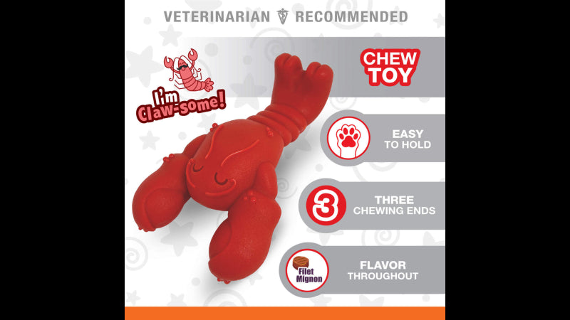 Power Chew Lobster dog toy, lobster-shaped, durable, filet mignon flavored, designed for aggressive chewers up to 11kg.