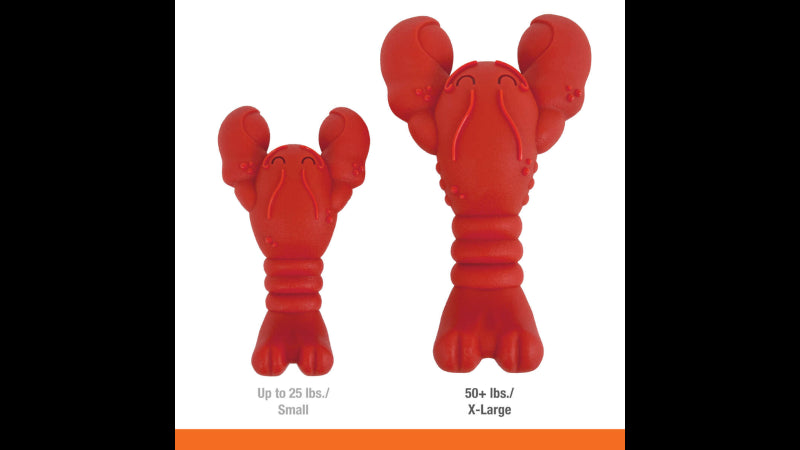 Durable lobster-shaped dog toy for aggressive chewers, flavored with filet mignon, promotes dental health and fun playtime.