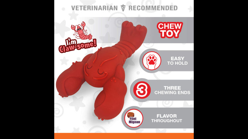 Durable lobster-shaped dog toy with filet mignon flavor, ideal for aggressive chewers and promotes dental health.