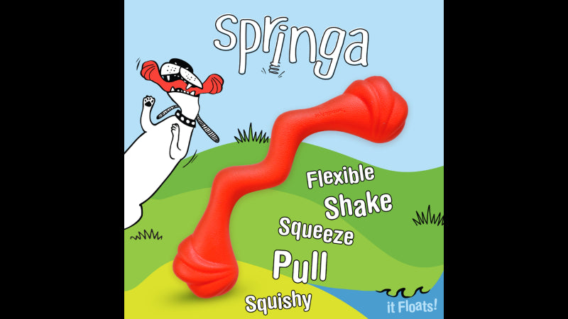 Bright red Creative Play Springa dog toy featuring a squishy zig-zag design for versatile and imaginative playtime fun.