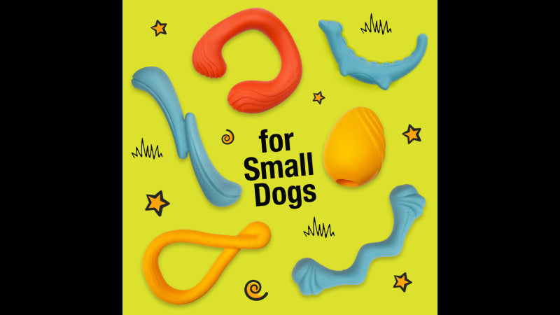 Interactive red dog toy in a whimsical C-shape, designed for creative play for small breeds; lightweight, squeezable, and floats.