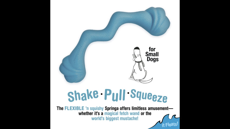 Interactive blue dog toy with a squishy zig-zag shape, perfect for small dogs' imaginative play and water fun.