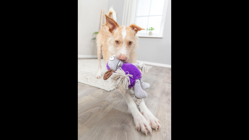 Purple Monster Plush Dog Toy, 32 cm, durable with squeaker, perfect for active play and cuddling.