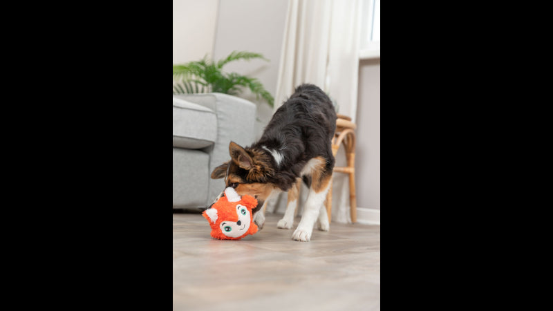 Plush 11cm fox toy for small to medium dogs, soft, durable, noise-free, perfect for cuddling and fetch games.