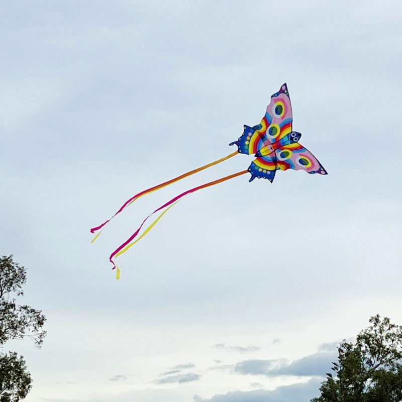 Butterfly Kite - Tiger Tribe