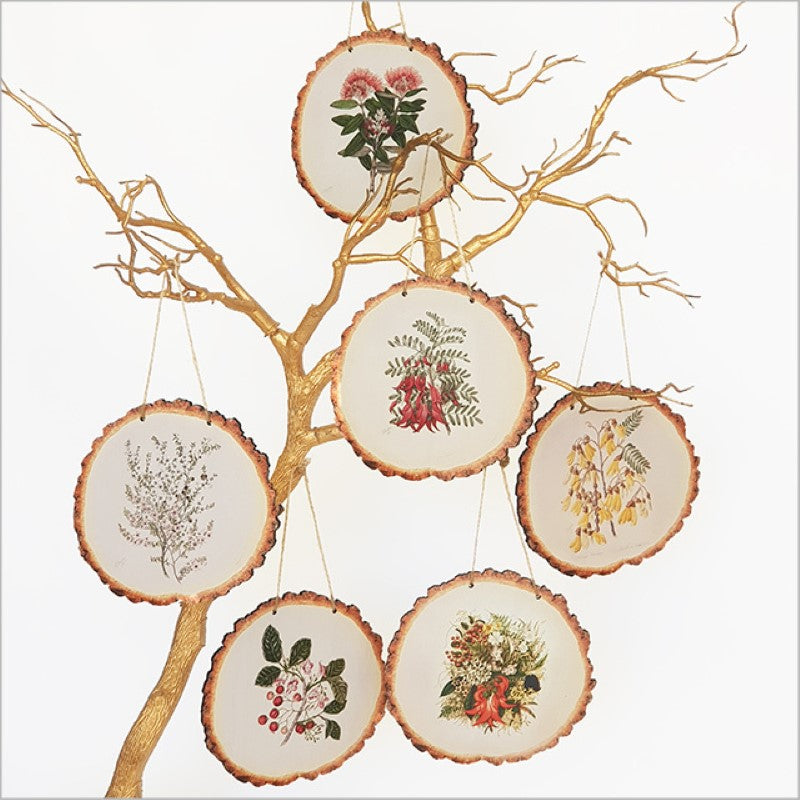 Wood slice wall art featuring delicate watercolor illustrations of Manuka flowers by Sarah Featon, capturing New Zealand's beauty.