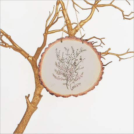 Wood slice wall art featuring Sarah Featon's watercolor illustration of delicate Manuka flowers, perfect for nature lovers.