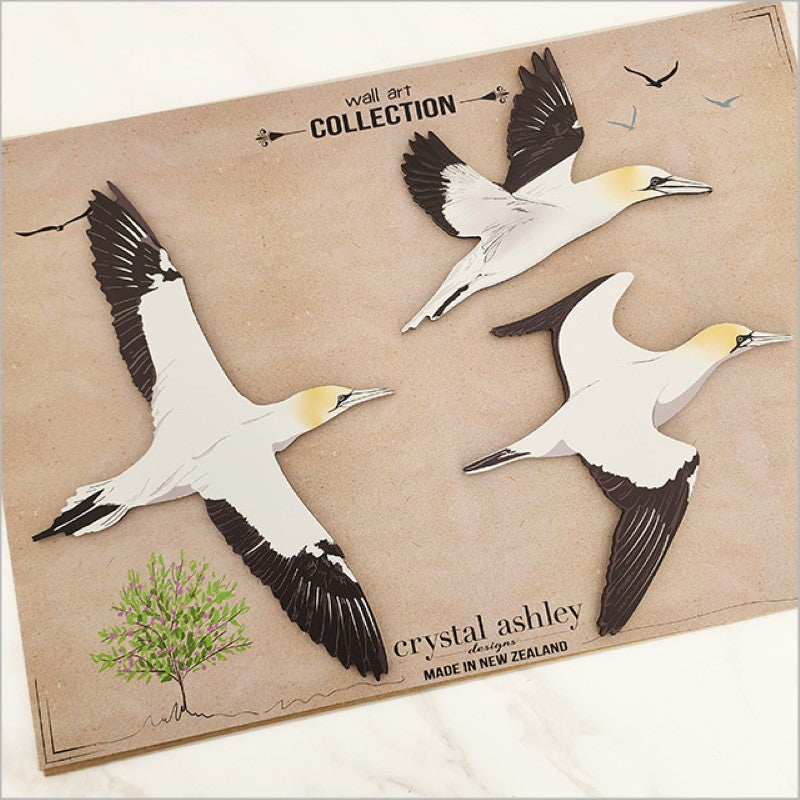 Elegant Takapu (Gannet) wall art set on brushed silver ACM, perfect for bird lovers and coastal decor enthusiasts.